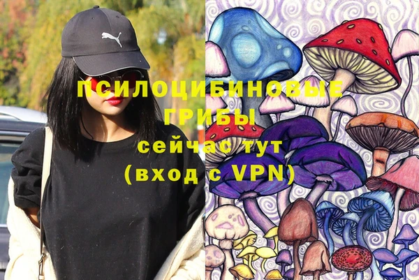 шишки Алексин