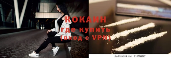 шишки Алексин