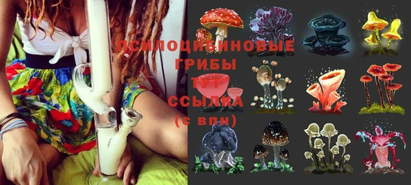 шишки Алексин