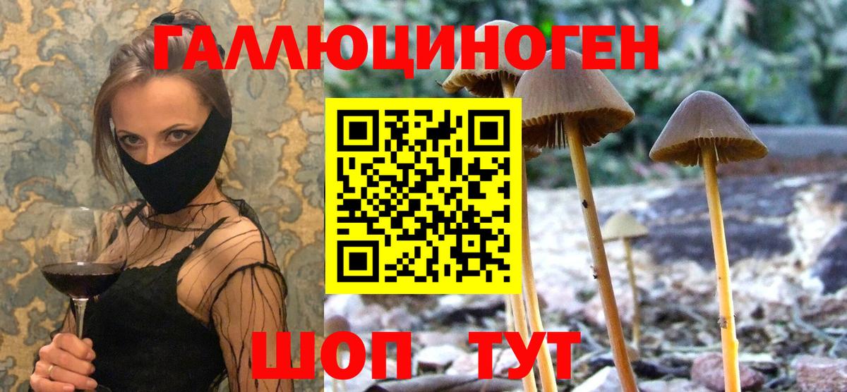 Псилоцибиновые грибы прущие грибы Азов